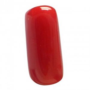 Munga (Coral)